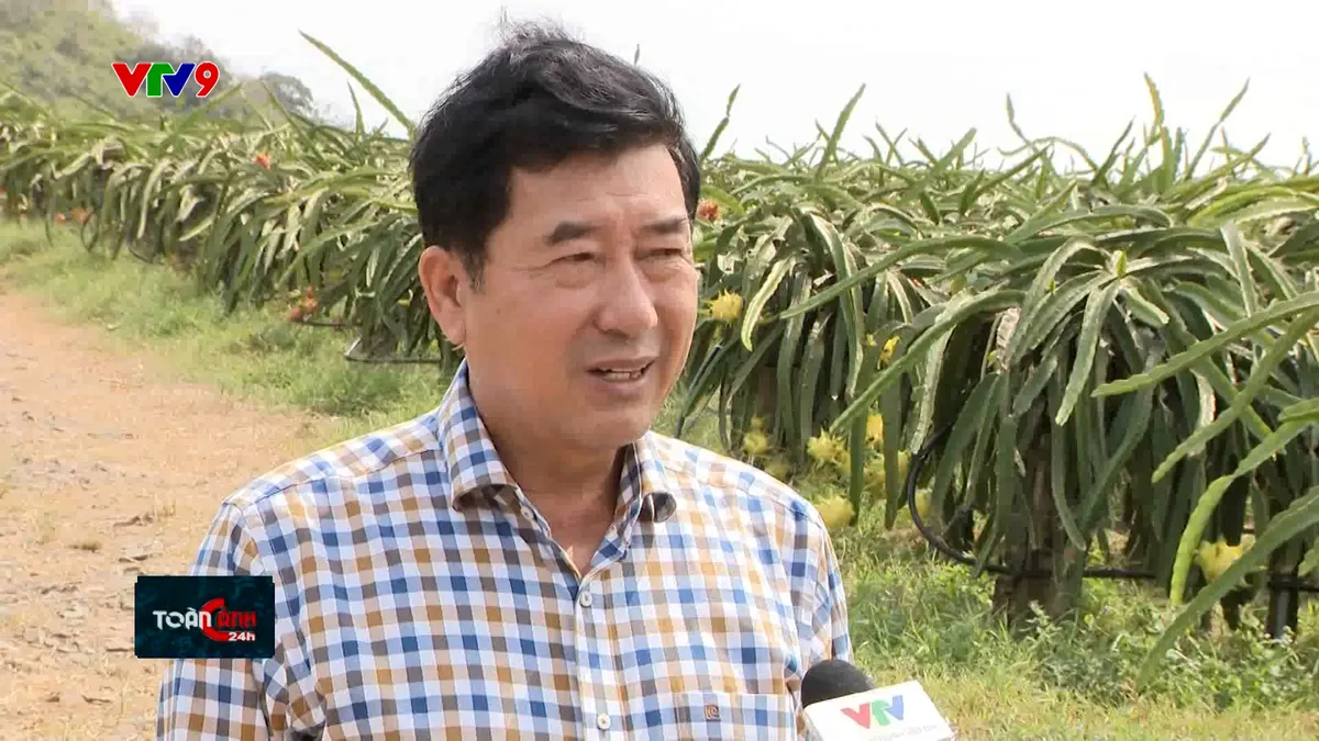 TC24h-2501-11 tran ngọc hiệp.jpg