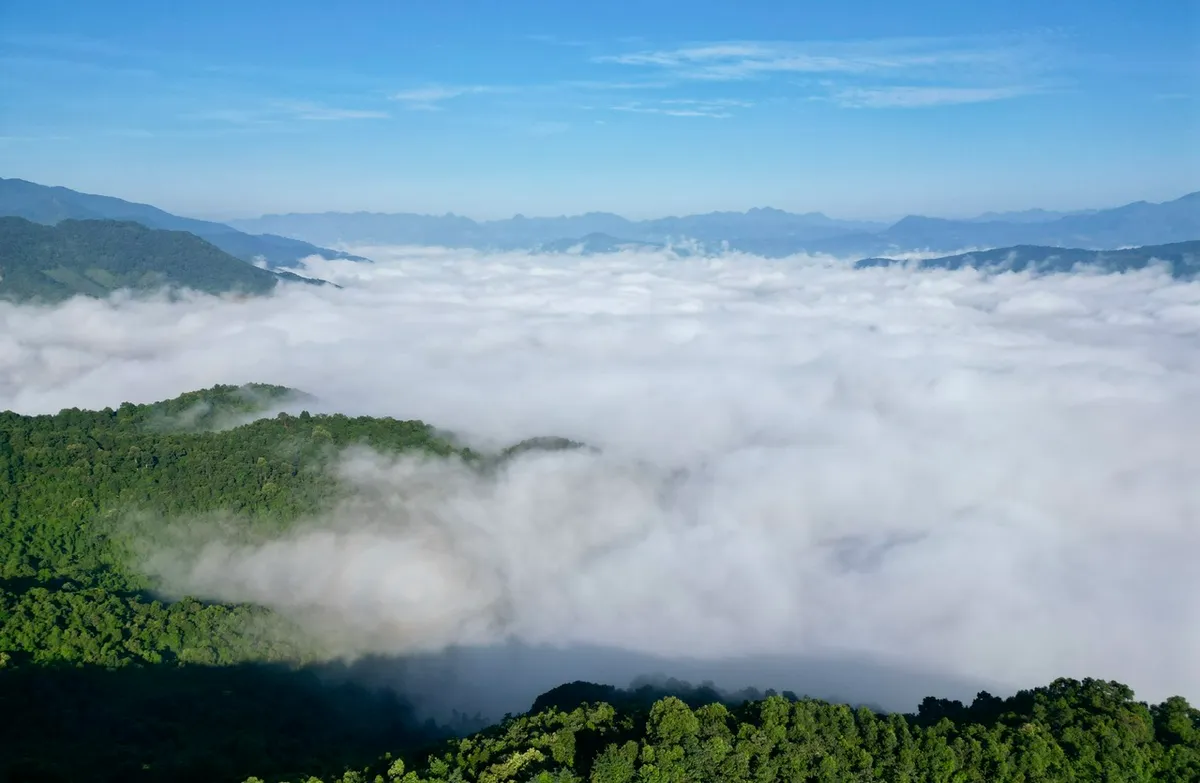 Đ&oacute;n xem phim t&agrave;i liệu Vươn m&igrave;nh c&ugrave;ng đất nước trong dịp đầu Xu&acirc;n - Ảnh 1.