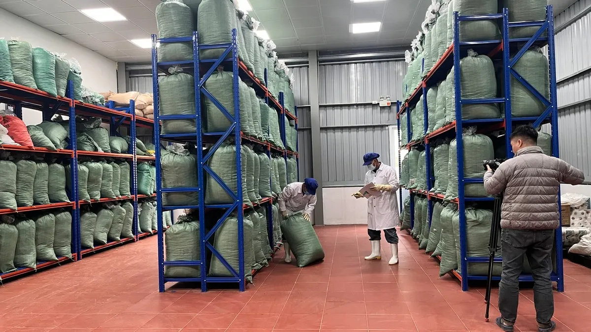 Đ&oacute;n xem phim t&agrave;i liệu Vươn m&igrave;nh c&ugrave;ng đất nước trong dịp đầu Xu&acirc;n - Ảnh 3.