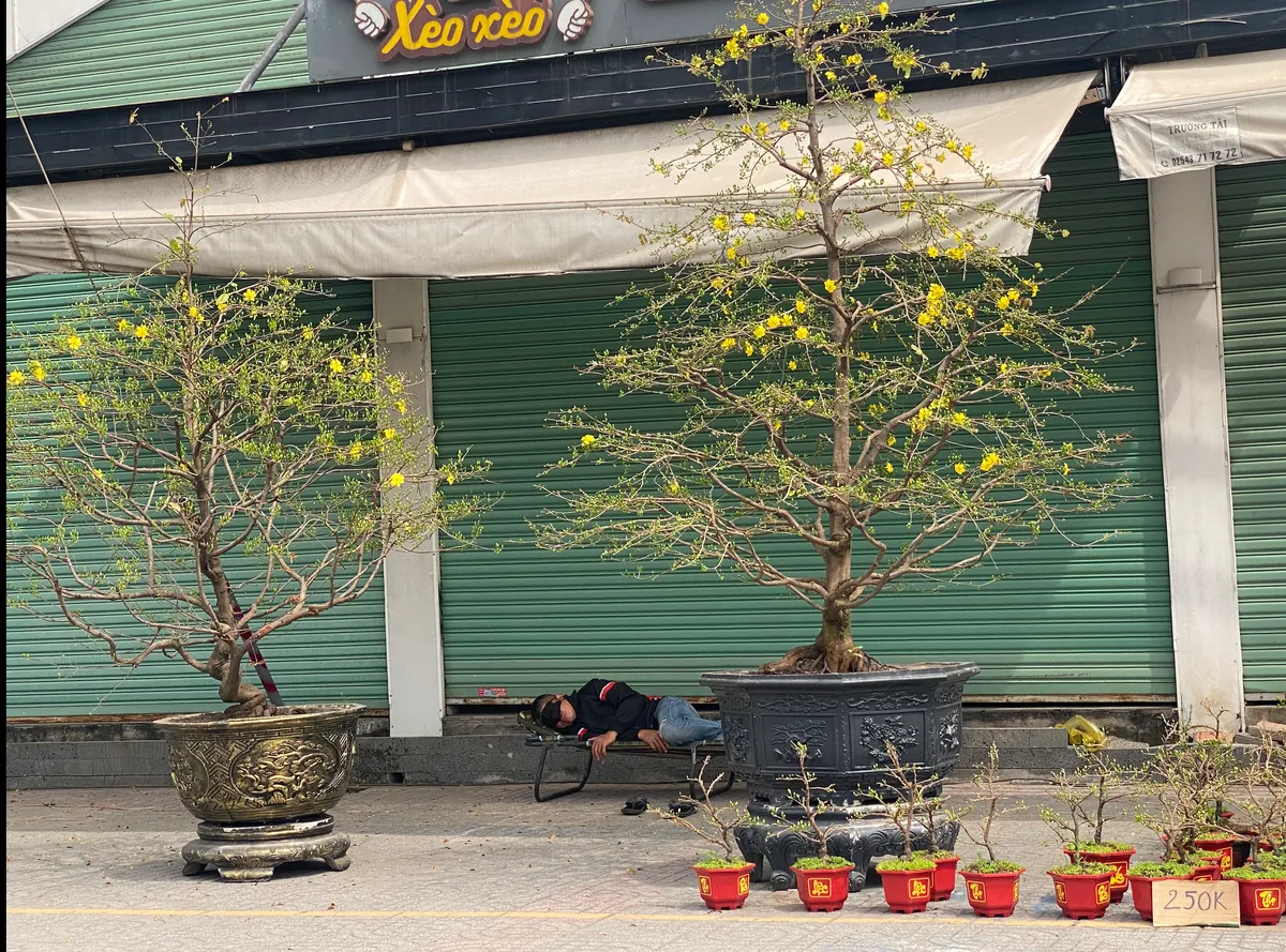 Nhìn lại một mùa Tết của các nhà vườn, thương lái bán hoa - Ảnh 11.