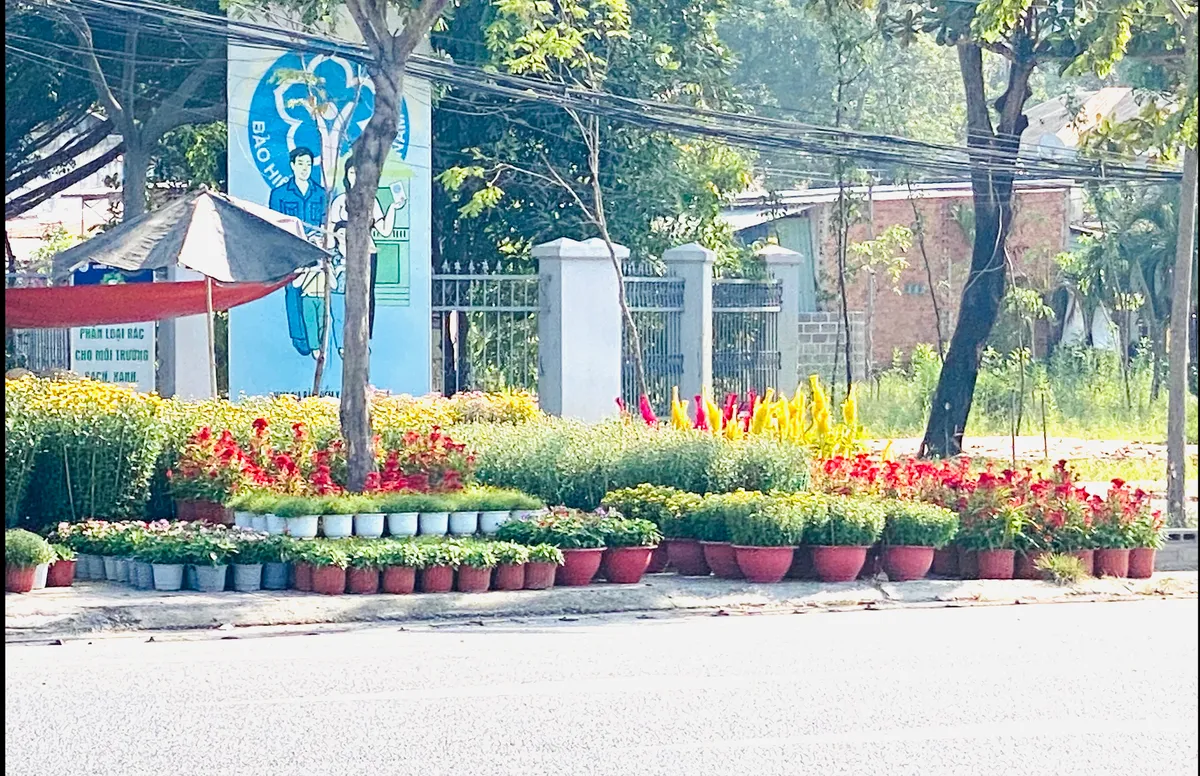 Nhìn lại một mùa Tết của các nhà vườn, thương lái bán hoa - Ảnh 18.