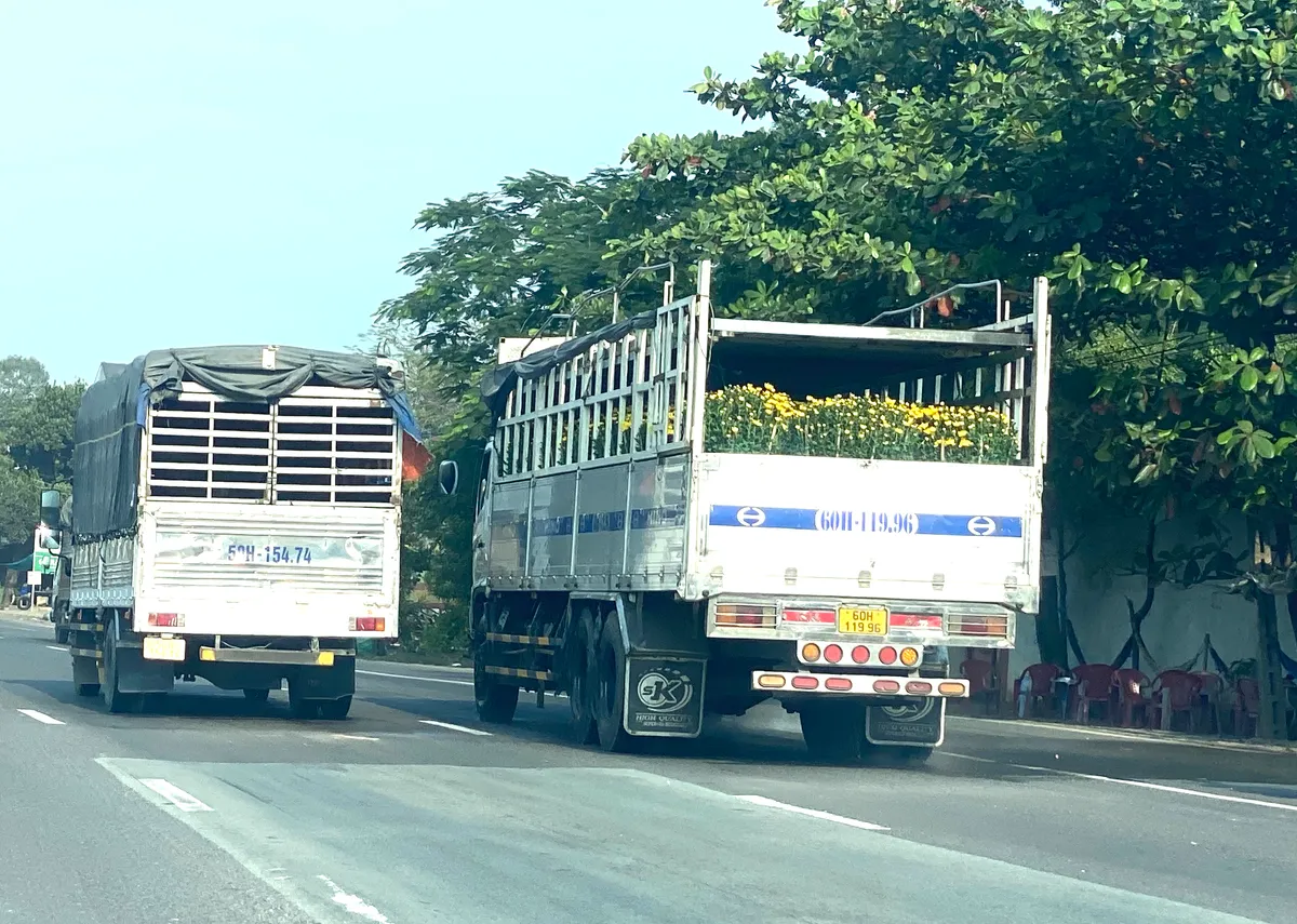 Nhìn lại một mùa Tết của các nhà vườn, thương lái bán hoa - Ảnh 1.