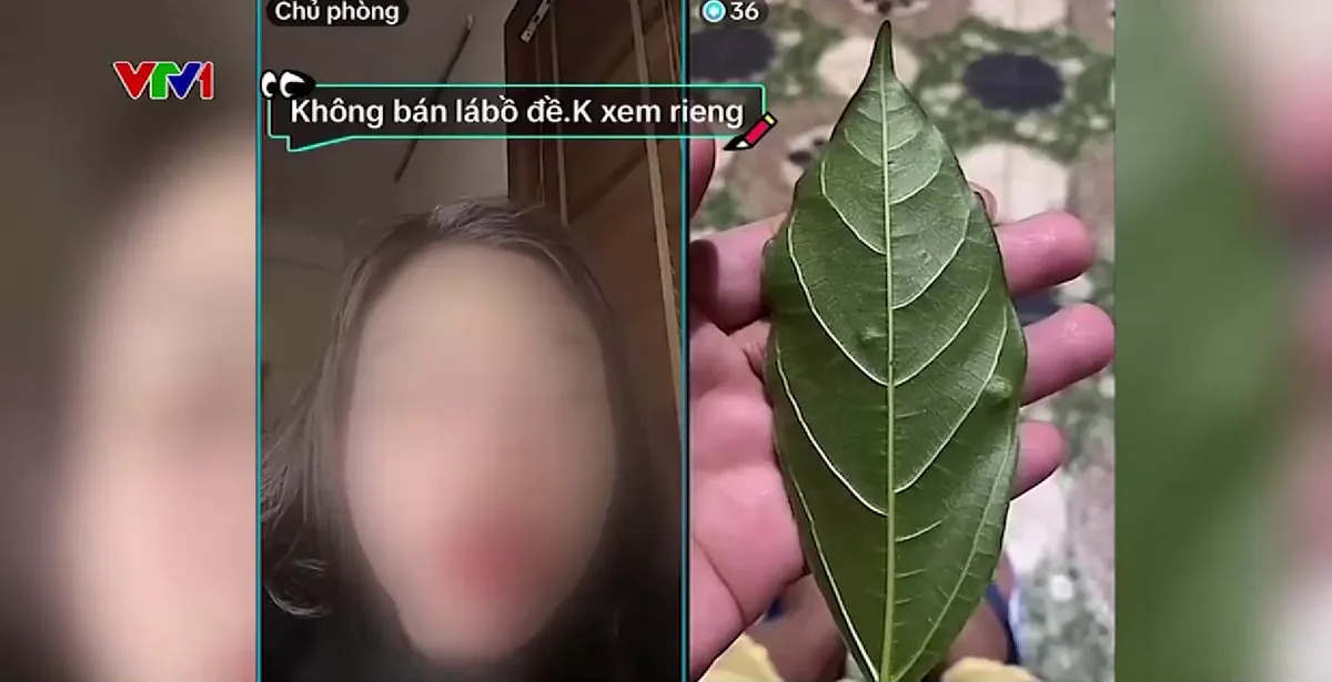 Mối nguy tiềm tàng từ bói toán trực tuyến - Ảnh 2.