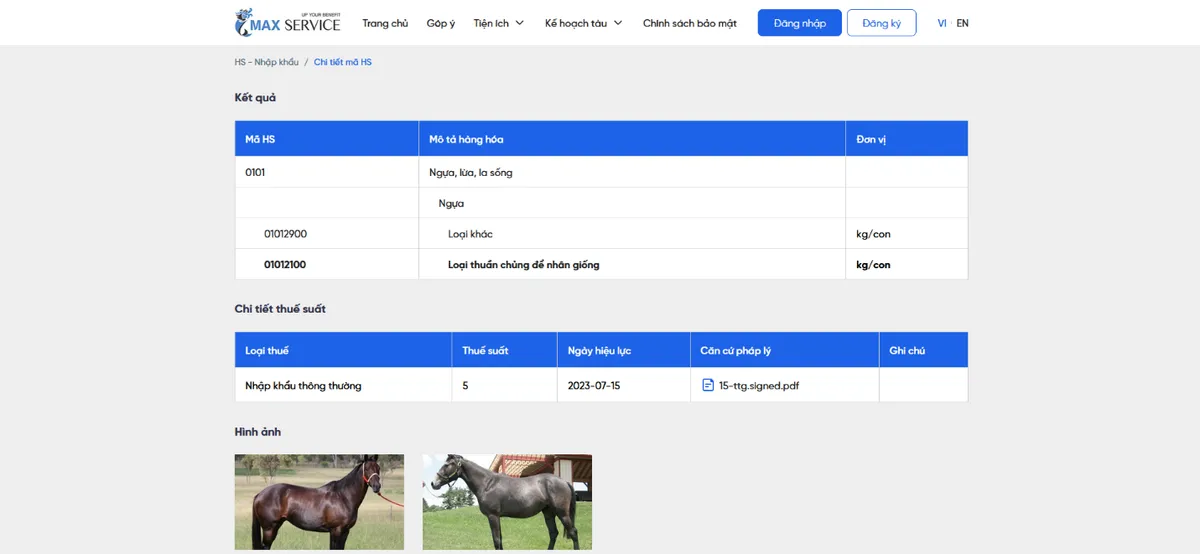 &ldquo;Ch&igrave;a kh&oacute;a&rdquo; quản trị rủi ro cho doanh nghiệp xuất nhập khẩu - Ảnh 4.