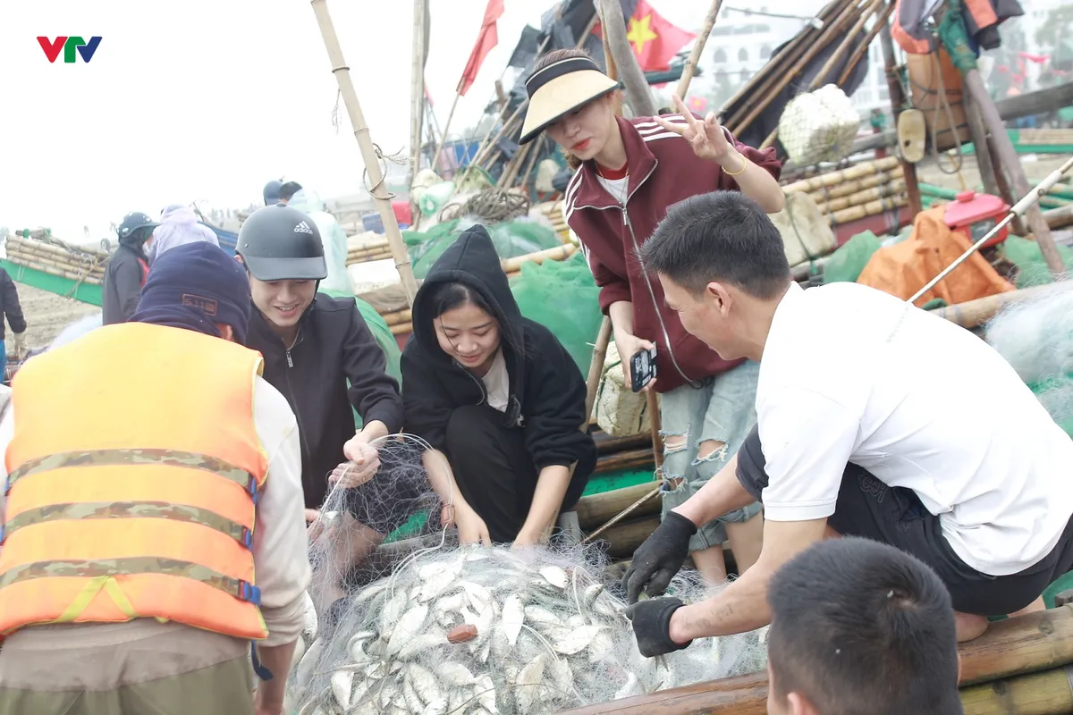 Ra khơi đầu năm, ngư dân Thanh Hóa trúng đậm mùa cá trích - Ảnh 1.