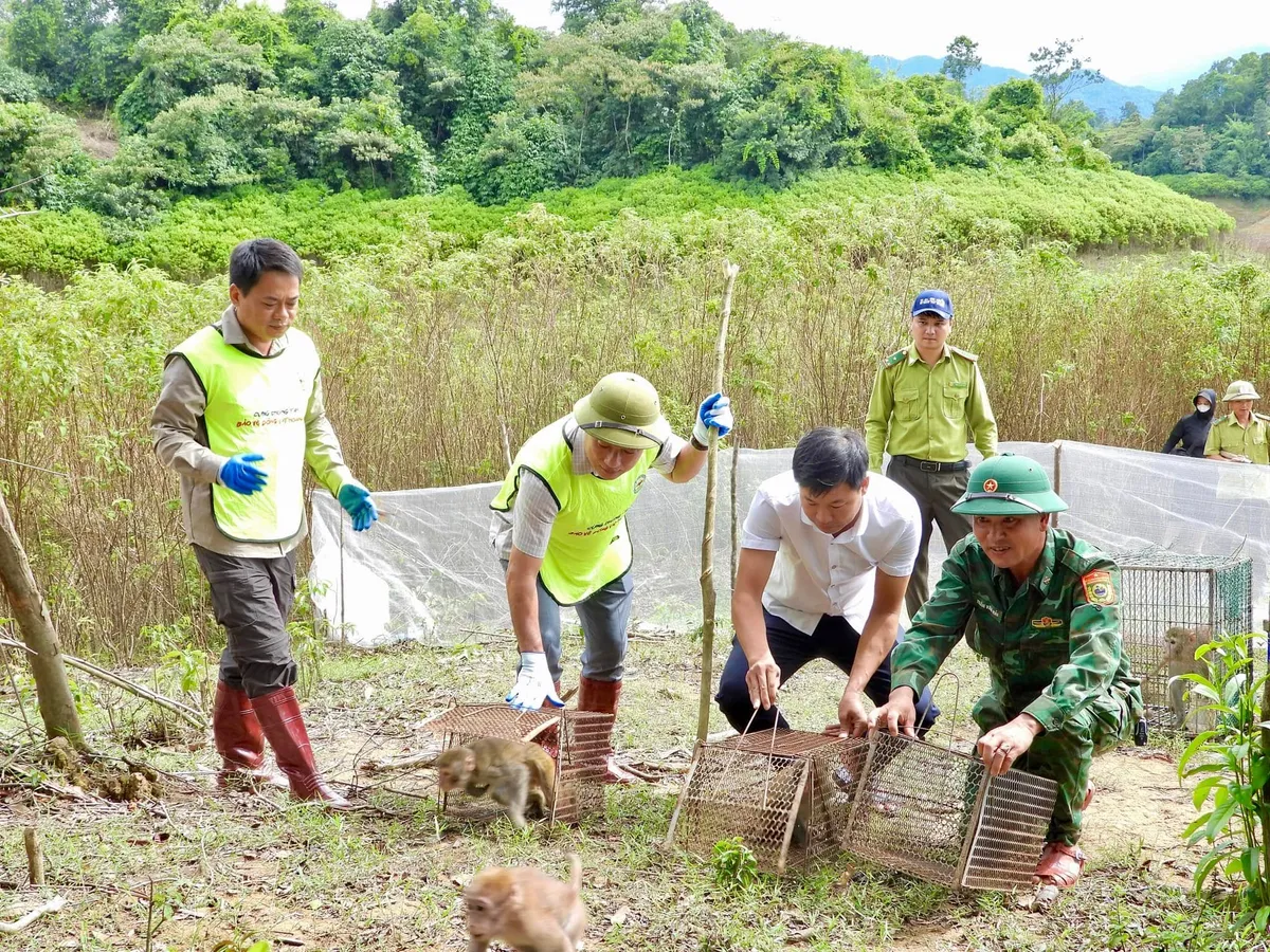 Chung tay cùng thế giới bảo vệ động, thực vật hoang dã - Ảnh 2.