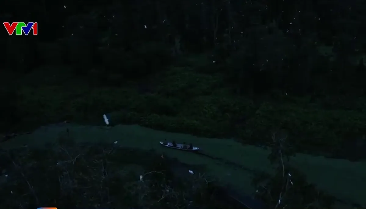 Biệt đội chống c&ograve; tặc tại rừng Tr&agrave;m Tr&agrave; Sư - Ảnh 1.