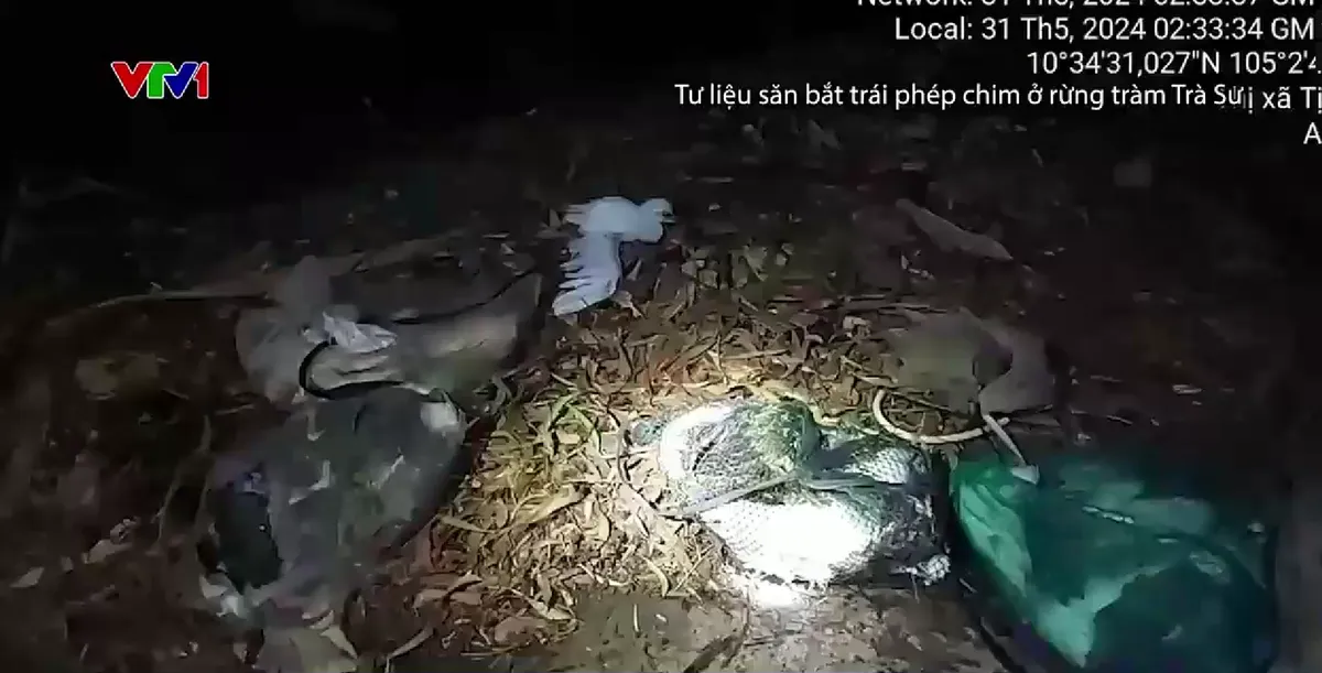 Biệt đội chống c&ograve; tặc tại rừng Tr&agrave;m Tr&agrave; Sư - Ảnh 2.