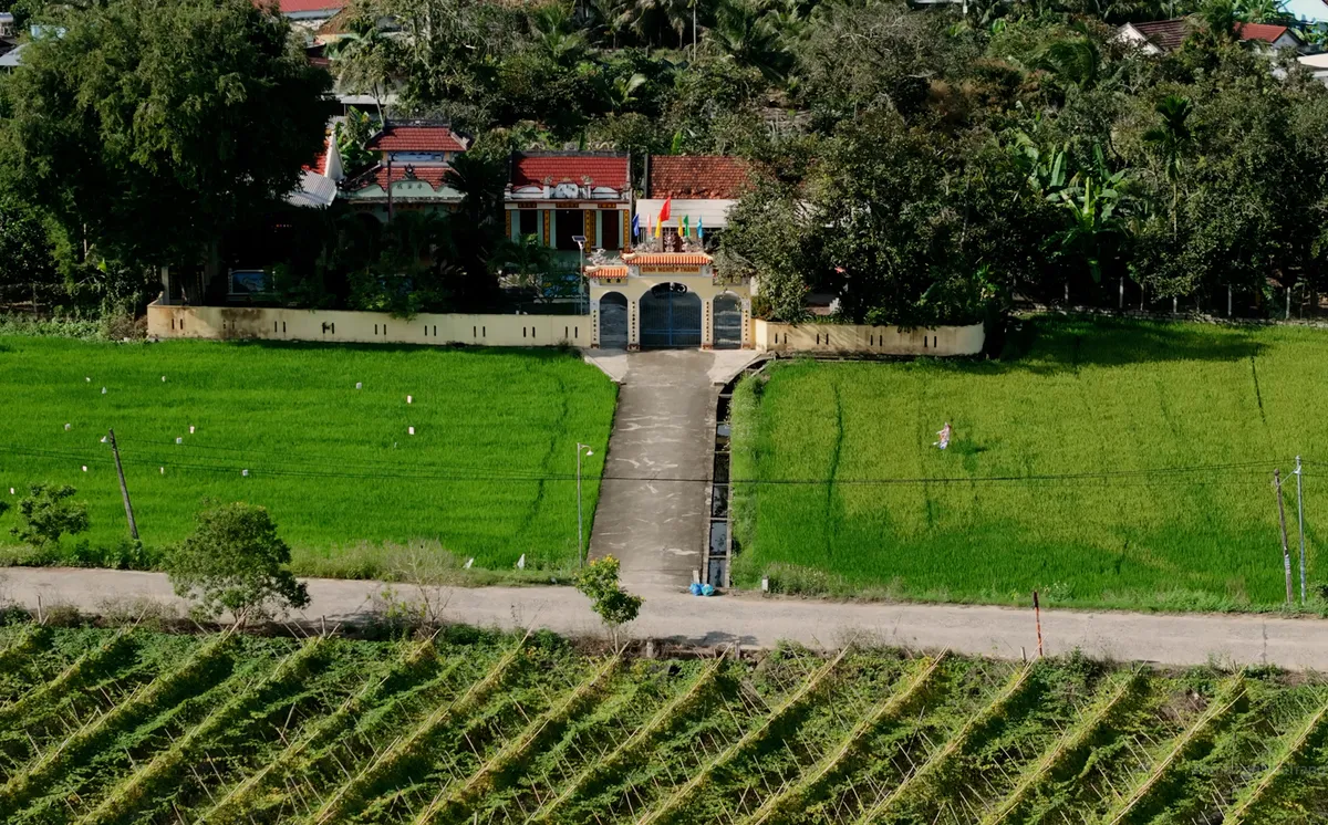 Loại tr&aacute;i c&acirc;y đặc sản ở Kh&aacute;nh Ho&agrave; đang dần mai một - Ảnh 6.