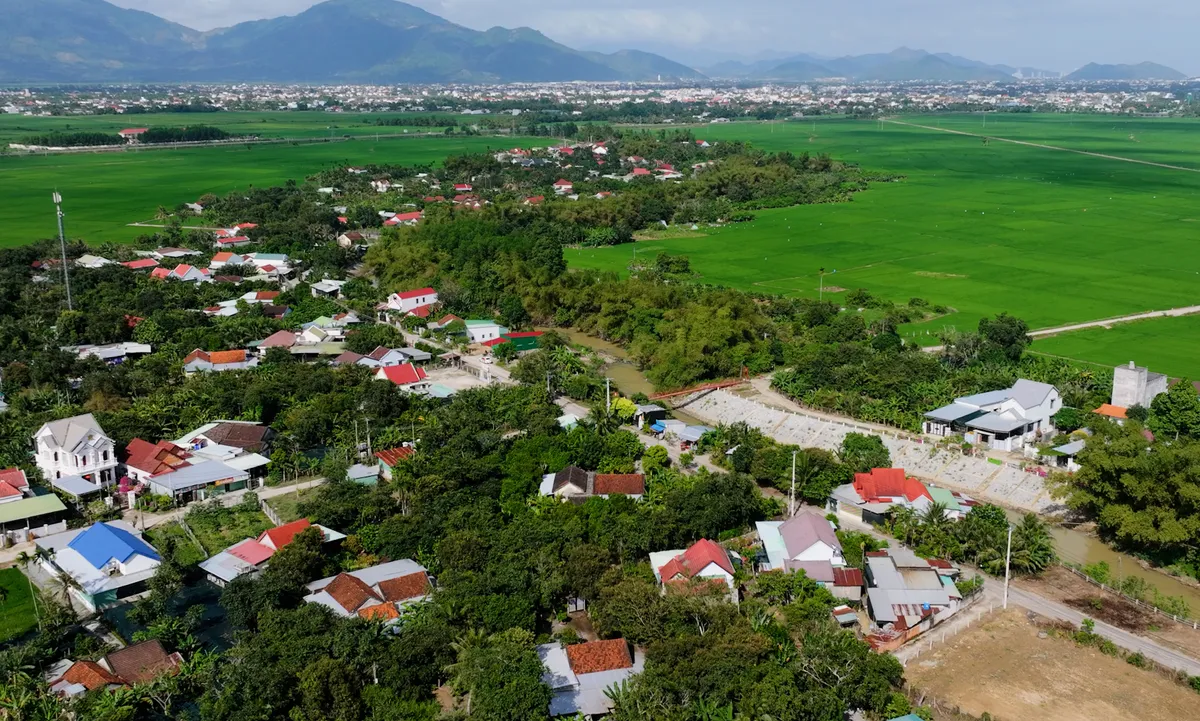 Loại tr&aacute;i c&acirc;y đặc sản ở Kh&aacute;nh Ho&agrave; đang dần mai một - Ảnh 1.