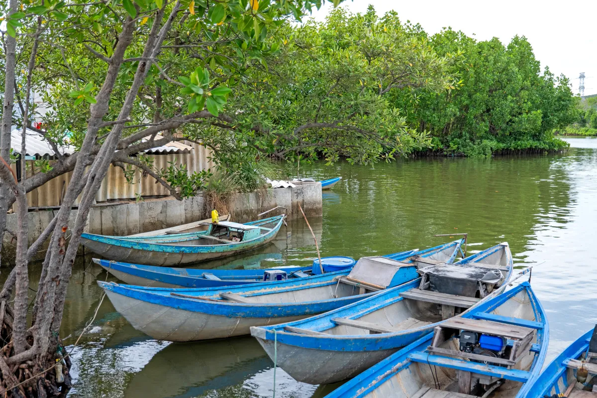 Hà Liên - Ngôi làng cổ bình yên giữa đầm Nha Phu - Ảnh 8.