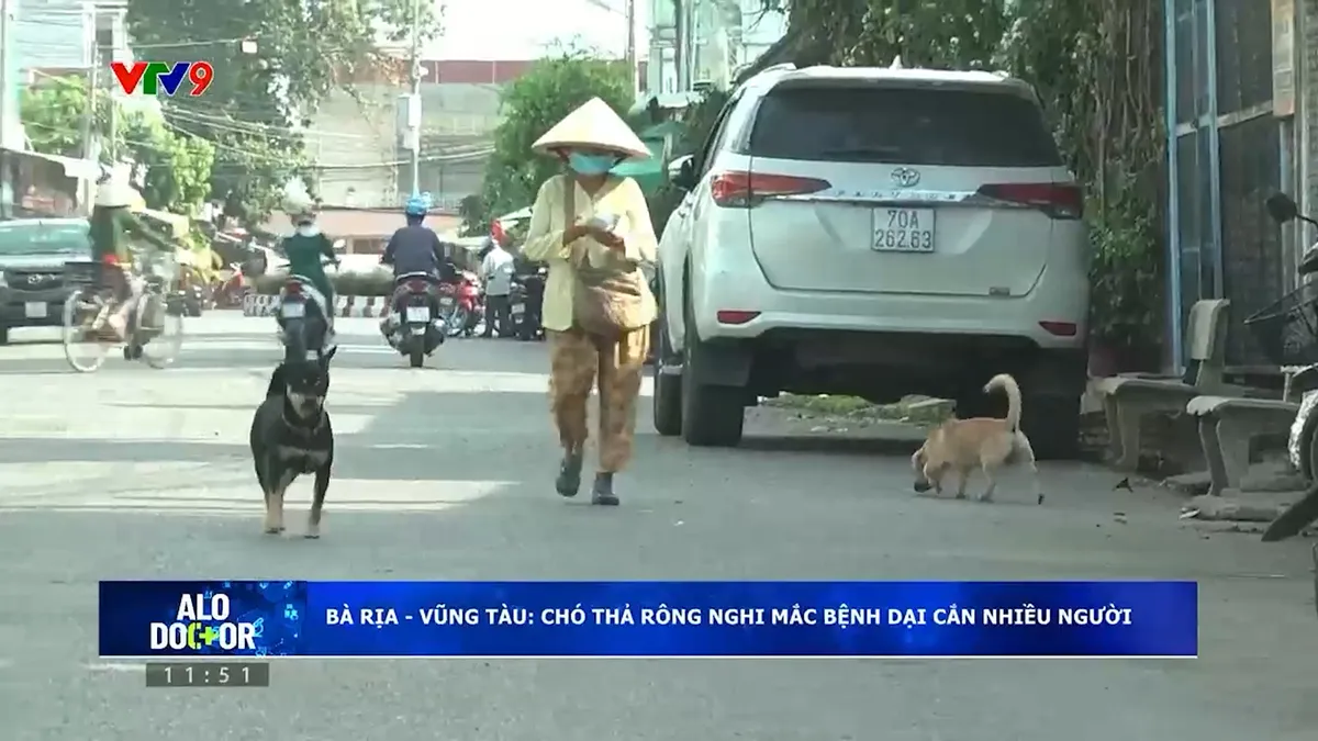 Alo Doctor (08/04/2025): Tây Ninh - Cảnh giác bệnh dại trong mùa nắng nóng Alo Doctor (08/04/2025): Tây Ninh - Cảnh giác bệnh dại trong mùa nắng nóng