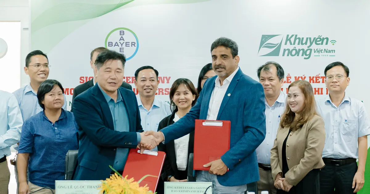 Mô hình canh tác bền vững của Bayer và TTKNQG triển khai đến hàng nghìn nông hộ - Ảnh 1.
