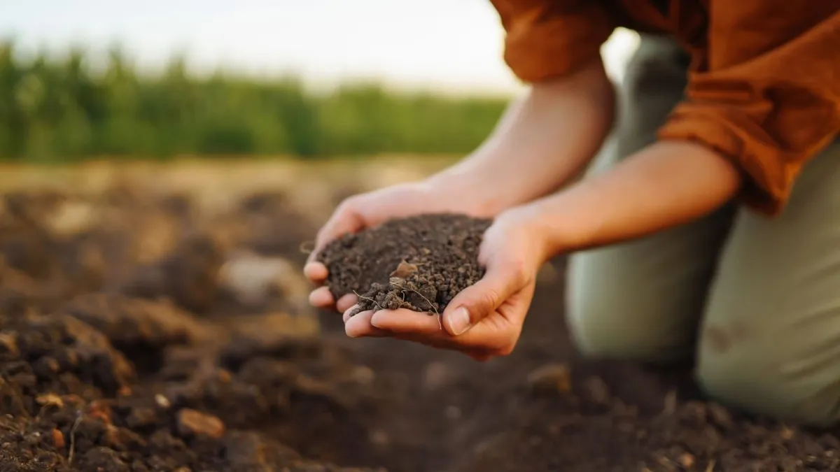 Cảnh b&aacute;o 17% đất canh t&aacute;c to&agrave;n cầu bị &ocirc; nhiễm kim loại nặng - Ảnh 1.