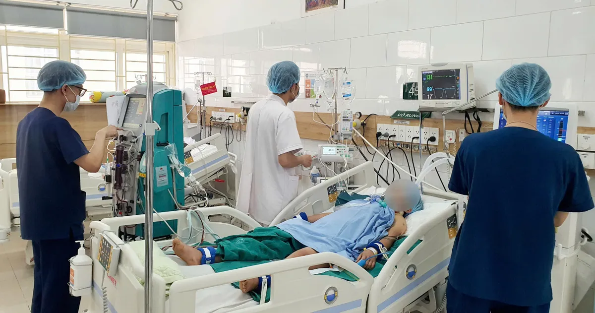 Hái nấm rừng về ăn, 2 vợ chồng hôn mê sâu - Ảnh 1.