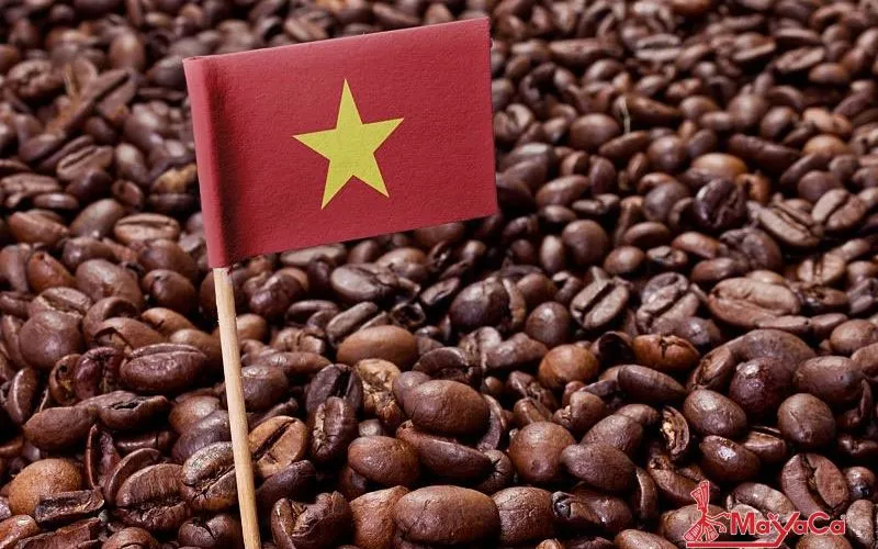 Nông sản Việt ghi dấu ấn chất lượng tại châu Âu - Ảnh 1.