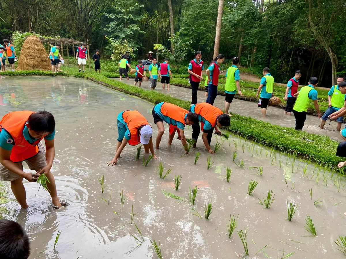 Địa đạo Củ Chi: Nơi lịch sử sống lại với những trải nghiệm hấp dẫn - Ảnh 8.