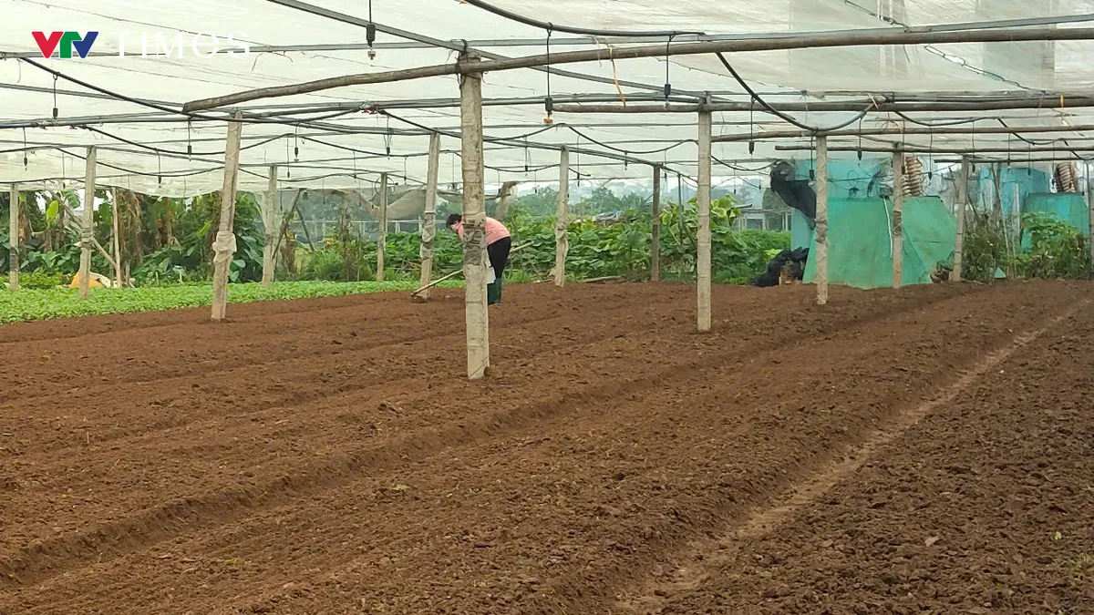 Cận cảnh Khu công nghệ cao sinh học 199 ha tại Bắc Từ Liêm sắp triển khai - Ảnh 4.