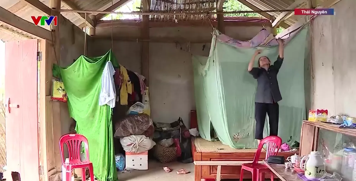 Xóa nhà tạm, dựng niềm tin - Ảnh 1.