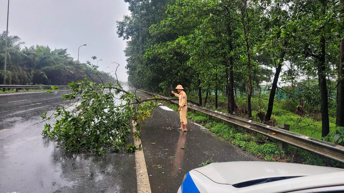 CSGT Hà Nội xử lý nhiều điểm cây đổ sau mưa dông trên Đại lộ Thăng Long - Ảnh 2.
