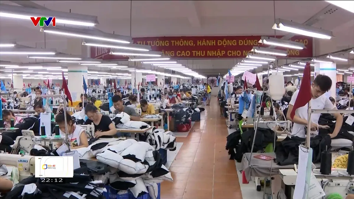 Thách thức đảm bảo an toàn lao động với các hiệp định FTA thế hệ mới - Ảnh 2.