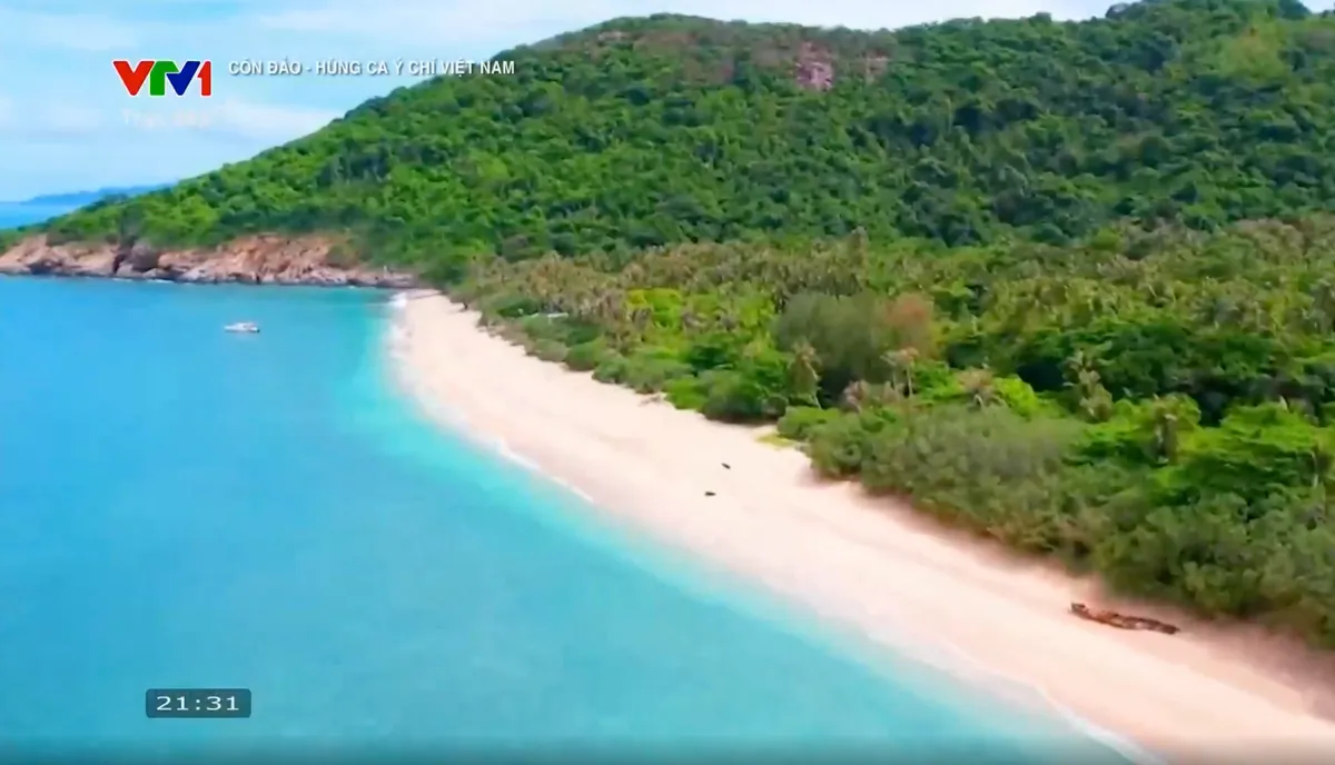Côn Đảo – Hùng ca Ý chí Việt Nam: Ngợi ca lòng yêu nước và khát vọng tự do bất diệt - Ảnh 4. Côn Đảo – Hùng ca Ý chí Việt Nam: Ngợi ca lòng yêu nước và khát vọng tự do bất diệt - Ảnh 4.