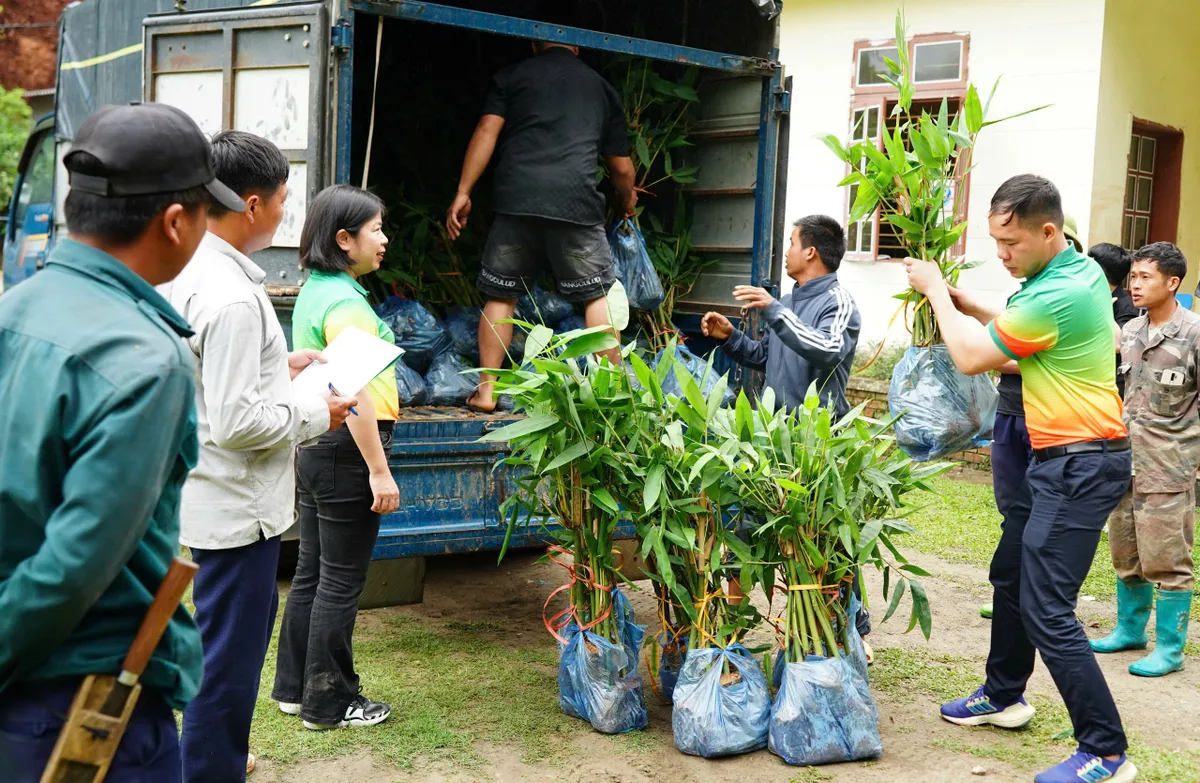 Dược phẩm Hoa Linh hành động vì môi trường, hướng tới mục tiêu phát triển bền vững - Ảnh 2.