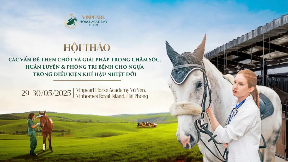 Học viện Cưỡi Ngựa Vinpearl Vũ Yên tổ chức Hội thảo chuyên sâu hàng đầu về ngựa - Ảnh 1.