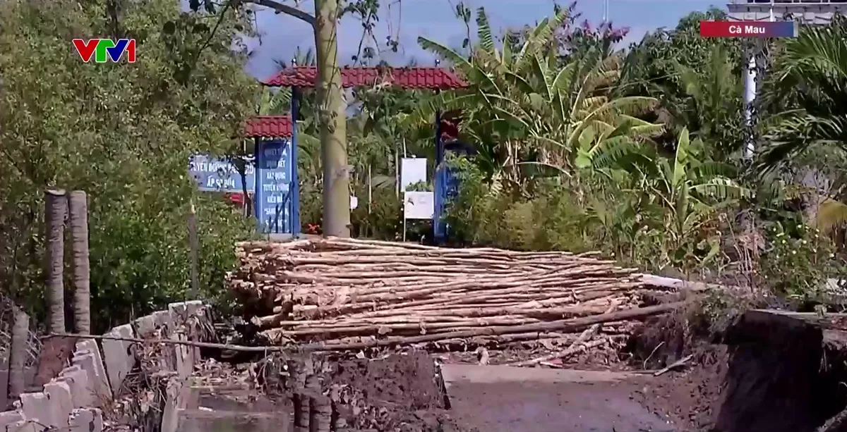 Cà Mau: Thi công kè gây sạt lở bờ sông - Ảnh 1.