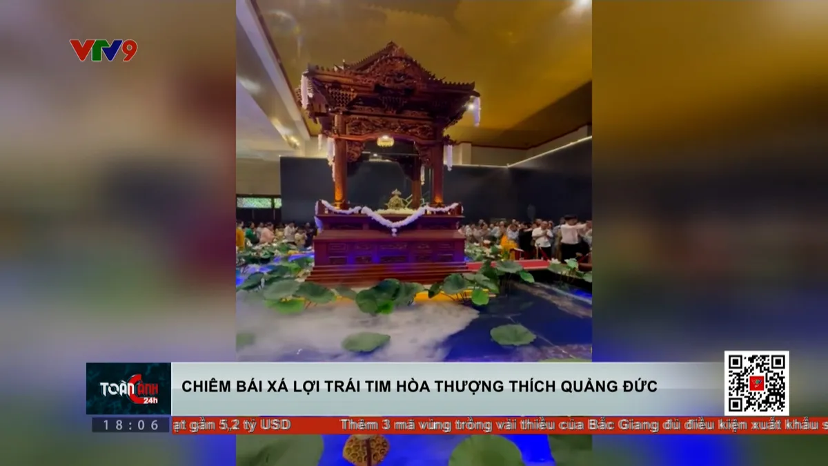 Thời sự: Toàn cảnh 24h (06/5/2025) Thời sự: Toàn cảnh 24h (06/5/2025)