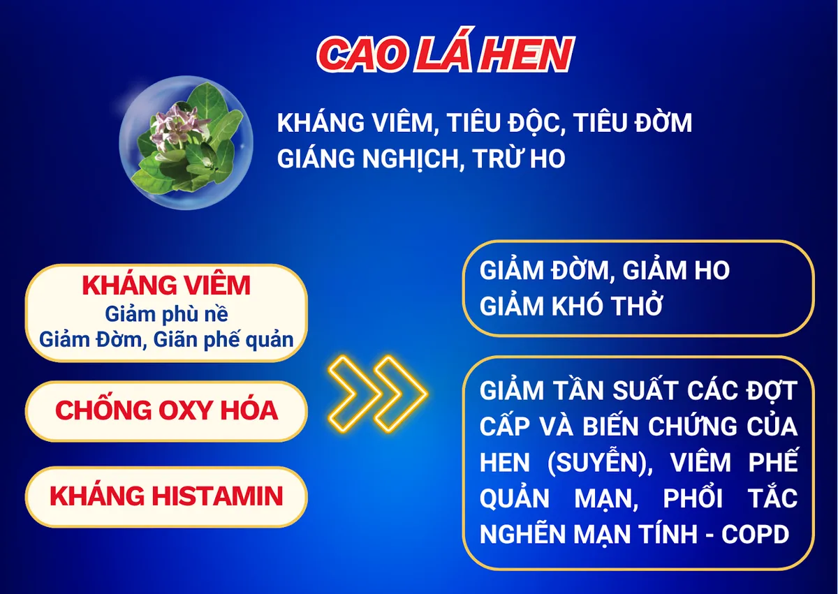 Bảo Khí Khang khẳng định chất lượng, vinh danh “Top 10 Thương hiệu tiêu biểu Châu Á - Thái Bình Dương 2025” - Ảnh 1.