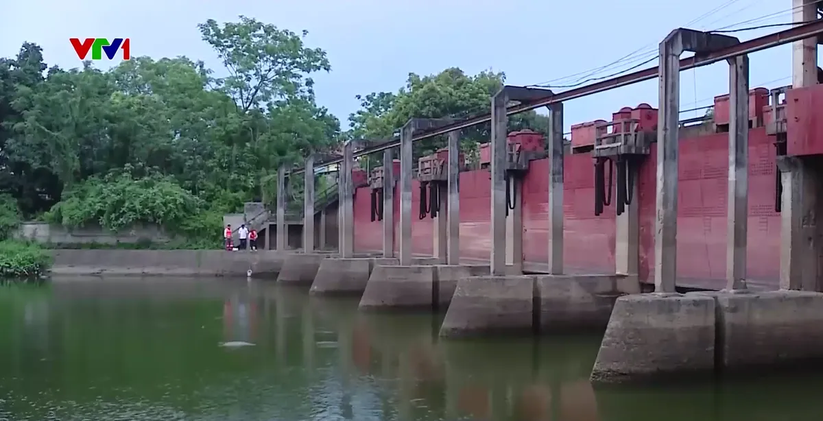 Thiếu cơ chế xử lý ô nhiễm sông Nhuệ - Đáy - Ảnh 2.