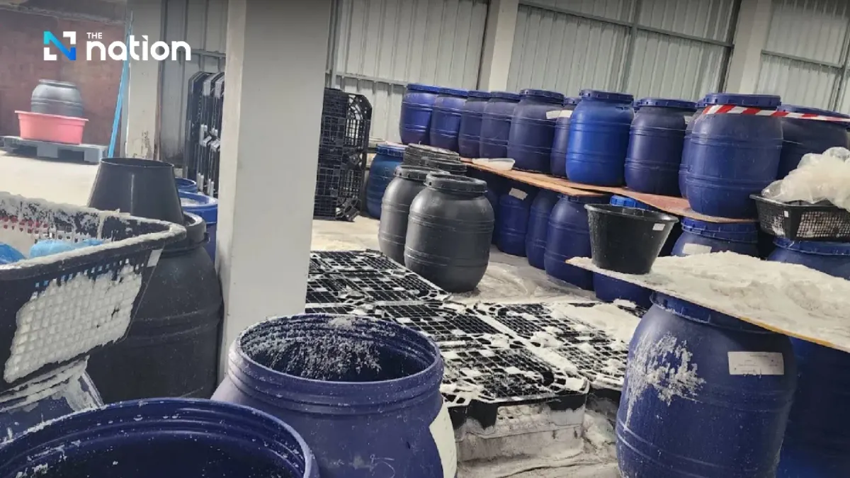Thái Lan bắt giữ hàng chục tấn lòng lợn bẩn nhập lậu từ Trung Quốc - Ảnh 2.