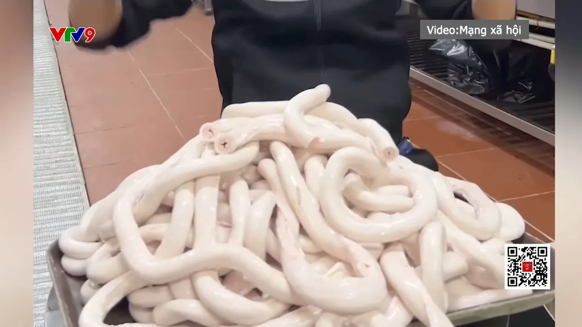 Kiểm tra đột xuất cơ sở ở TP. Hồ Chí Minh của chuỗi quán ăn có lòng se điếu dài 40m Kiểm tra đột xuất cơ sở ở TP. Hồ Chí Minh của chuỗi quán ăn có lòng se điếu dài 40m