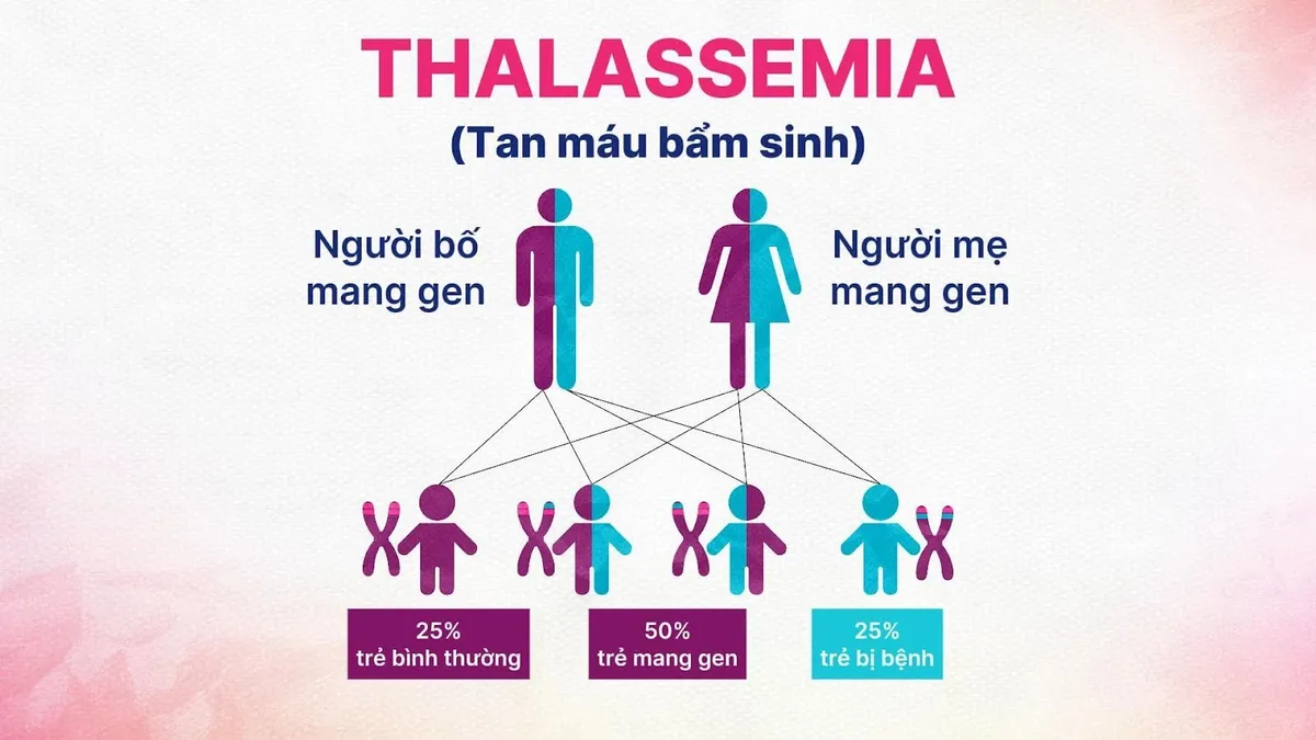 Chung tay vì một Việt Nam không còn Thalassemia - Ảnh 2.