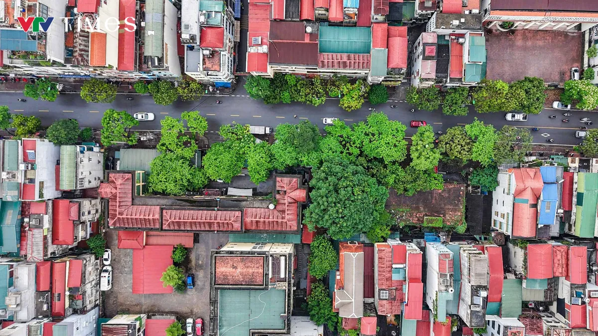 Hơn 1km, 5 trụ sở công bỏ hoang trên phố Tô Hiệu (Hà Đông) - Ảnh 10.