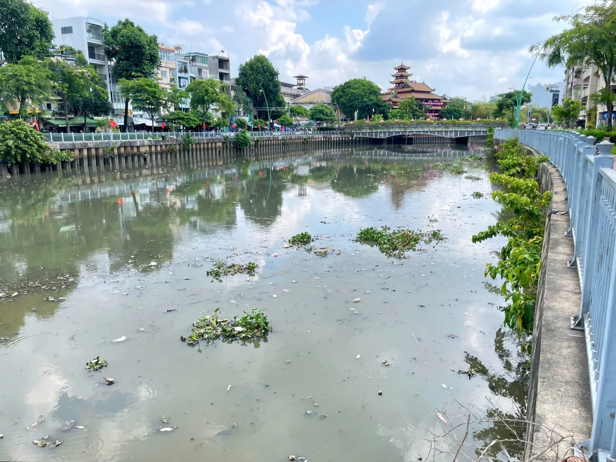 TP Hồ Chí Minh: Nguyên nhân cá chết trắng trên kênh Nhiêu Lộc Thị Nghè - Ảnh 7.