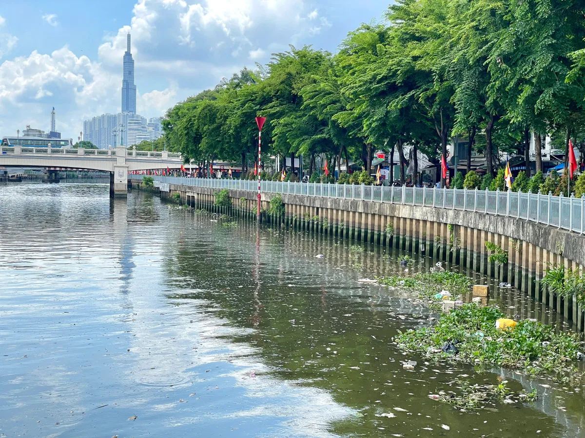 TP Hồ Chí Minh: Nguyên nhân cá chết trắng trên kênh Nhiêu Lộc Thị Nghè - Ảnh 10.