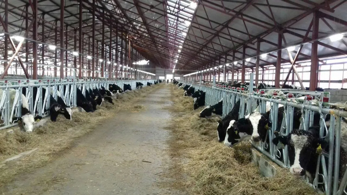 Khánh thành nhà máy sữa TH tại Nga: Dấu mốc cho 75 năm hợp tác Việt – Nga - Ảnh 2.