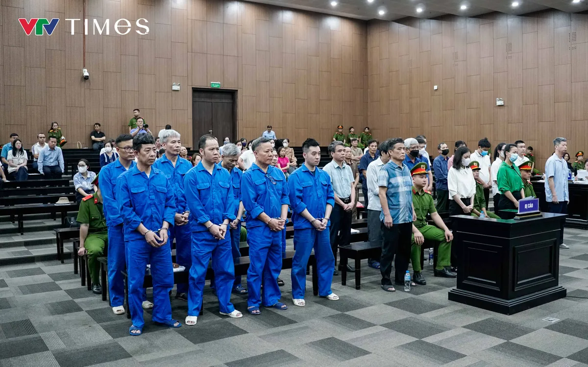 Cựu Thứ trưởng Nguyễn Linh Ngọc được đề nghị án tù treo trong vụ khai thác đất hiếm - Ảnh 1.