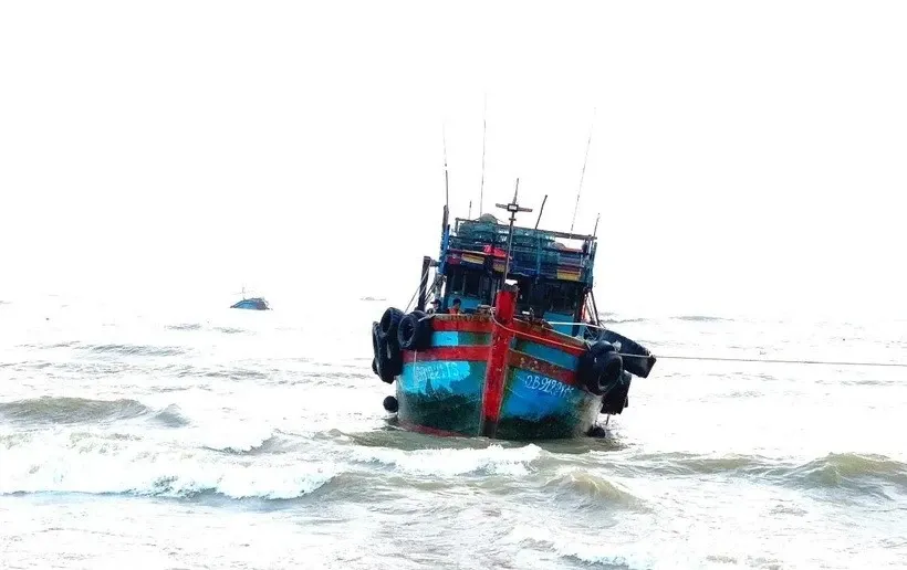 3 ngư dân tử vong trên tàu cá 3 ngư dân tử vong trên tàu cá