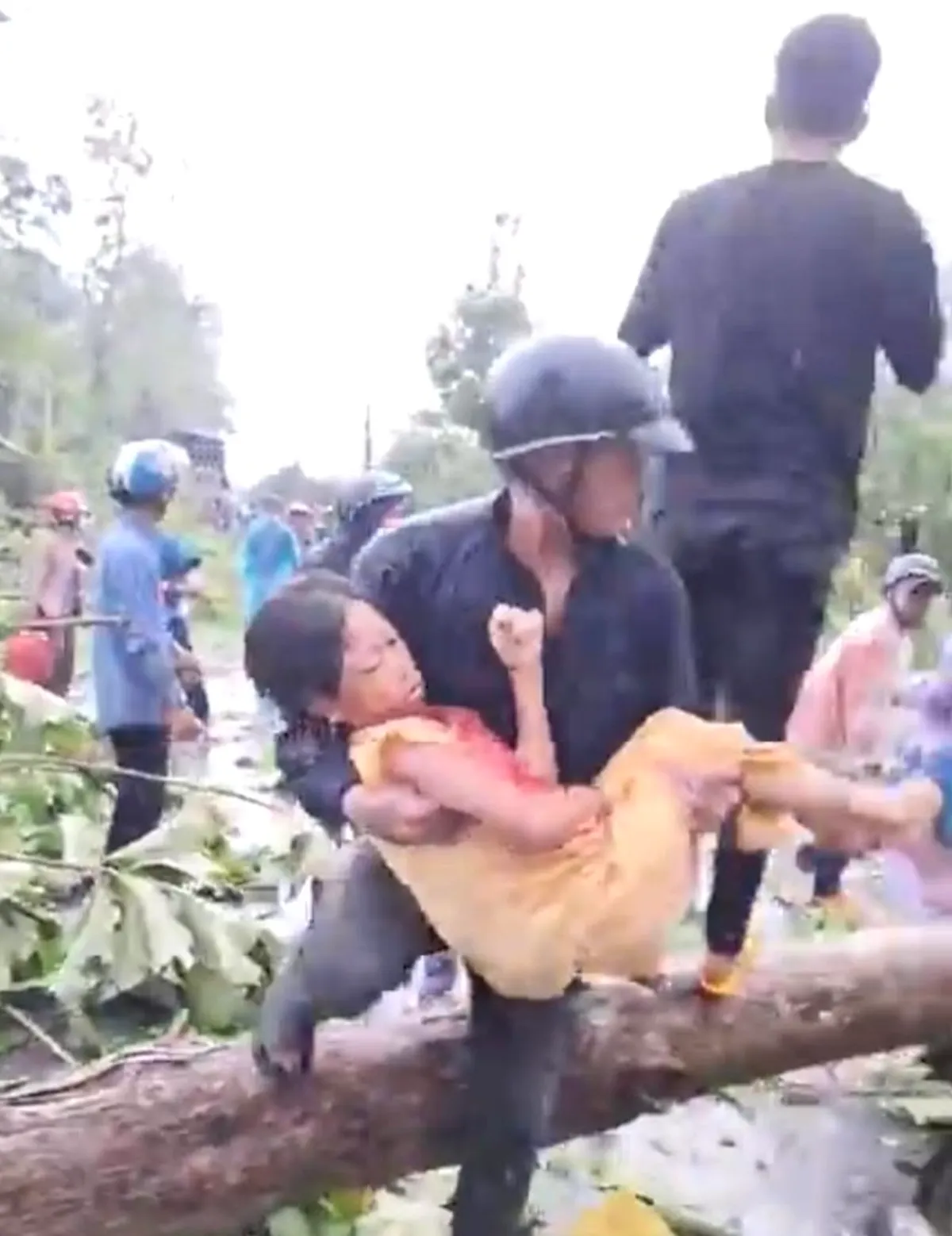 Đồng Nai: Mưa lớn k&egrave;m lốc xo&aacute;y l&agrave;m c&acirc;y đổ, 1 phụ nữ bị thương - Ảnh 1.