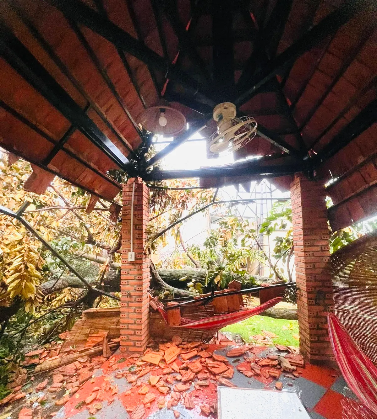 Đồng Nai: Mưa lớn k&egrave;m lốc xo&aacute;y l&agrave;m c&acirc;y đổ, 1 phụ nữ bị thương - Ảnh 2.