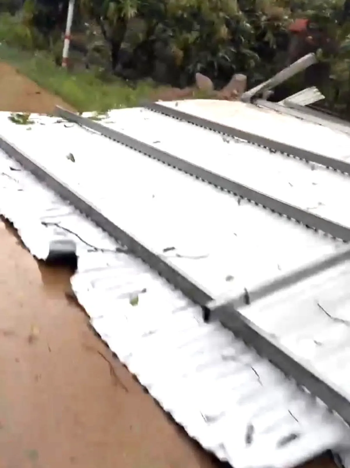 Đồng Nai: Mưa lớn k&egrave;m lốc xo&aacute;y l&agrave;m c&acirc;y đổ, 1 phụ nữ bị thương - Ảnh 3.