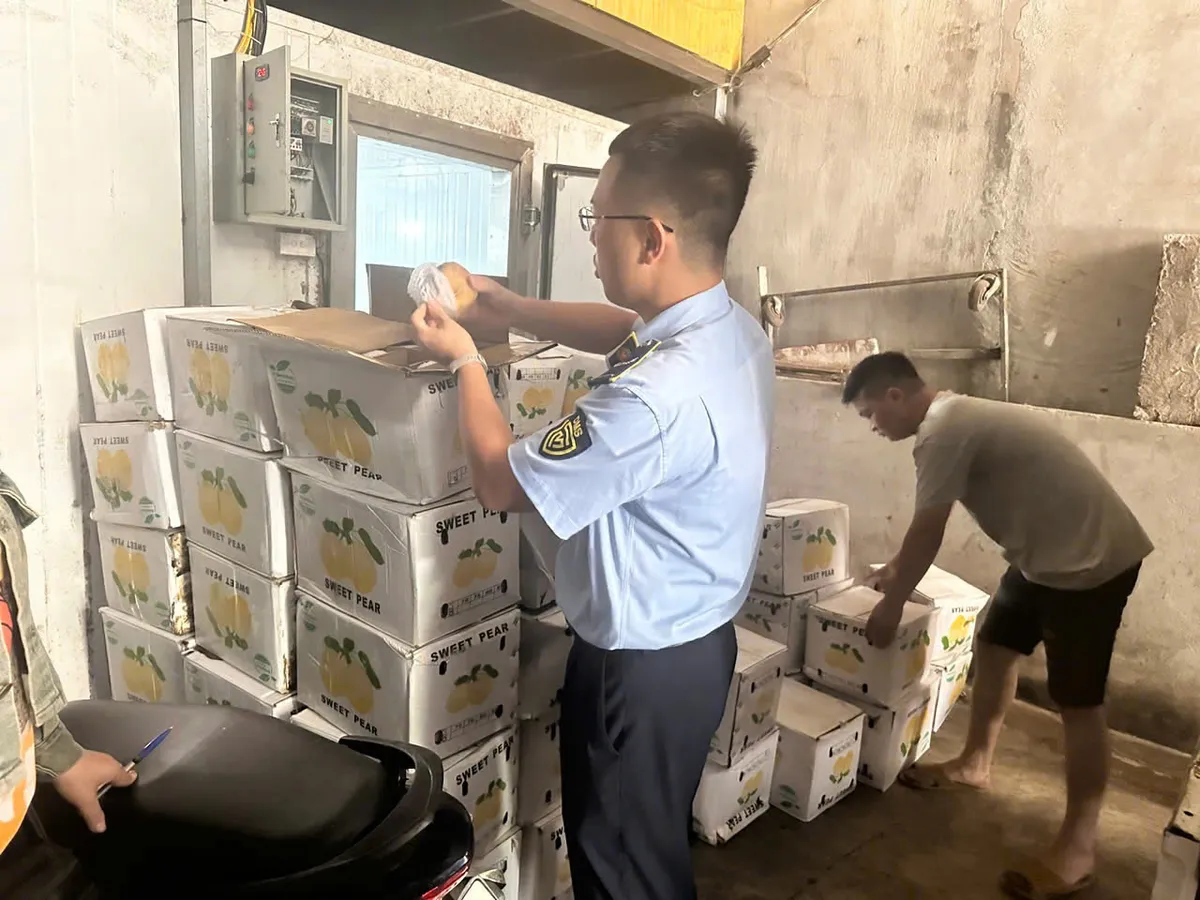 Thái Nguyên: Tiêu hủy gần 1,2 tấn hoa quả không rõ nguồn gốc xuất xứ - Ảnh 1.