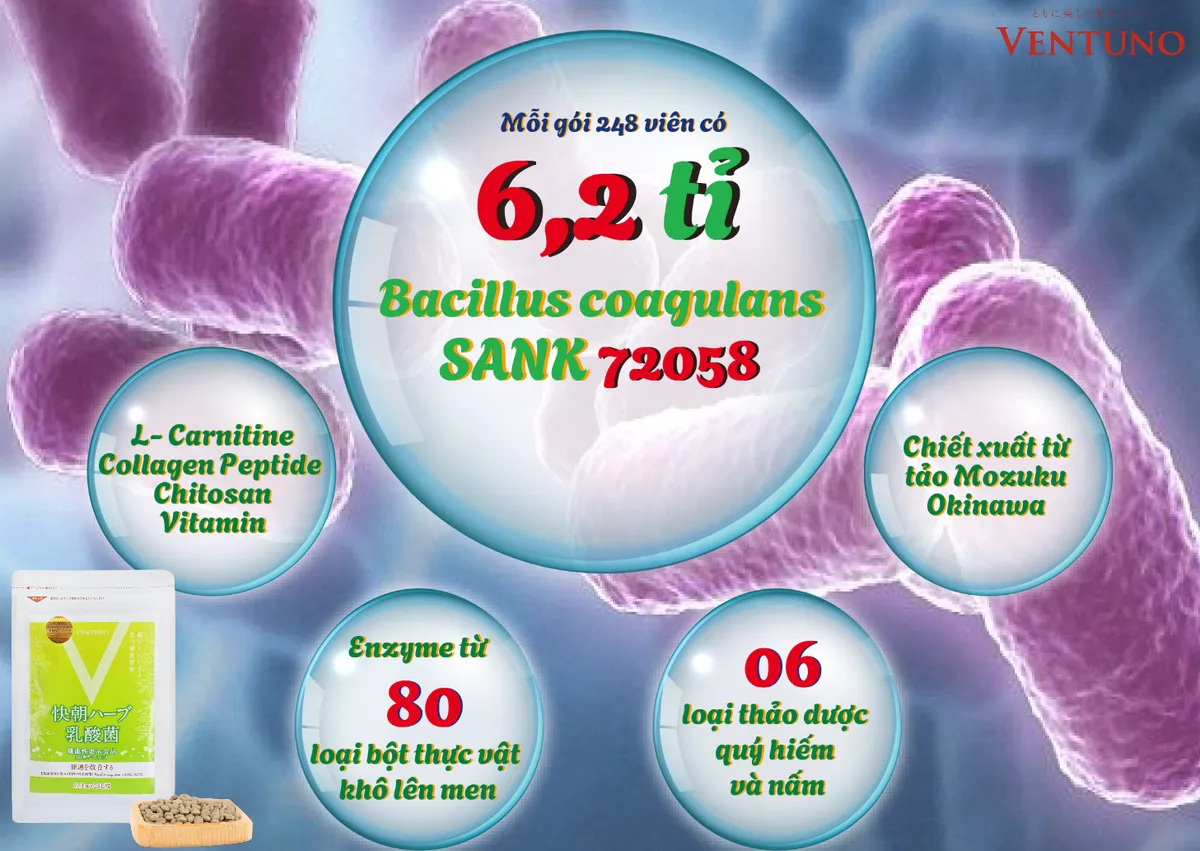 NSƯT Kim Tiểu Long đại diện Phạm Gia Thái Bình nhận giải Top 20 Sản phẩm chất lượng vàng năm 2025 - Ảnh 2.