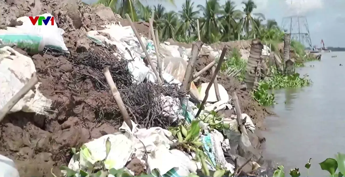 Trà Vinh công bố tình huống khẩn cấp do sạt lở nghiêm trọng tại đê bao Cồn Hô - Ảnh 1.