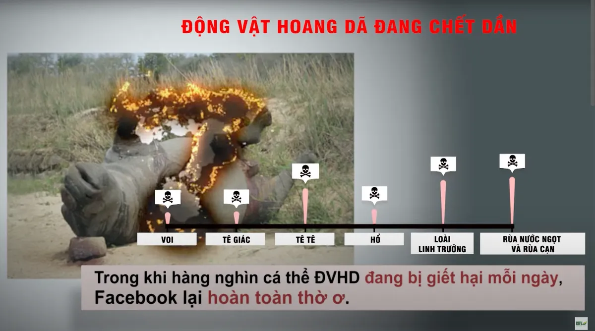 Cộng đồng tham gia gỡ bỏ hội nhóm buôn bán động vật hoang dã trên mạng xã hội - Ảnh 1.