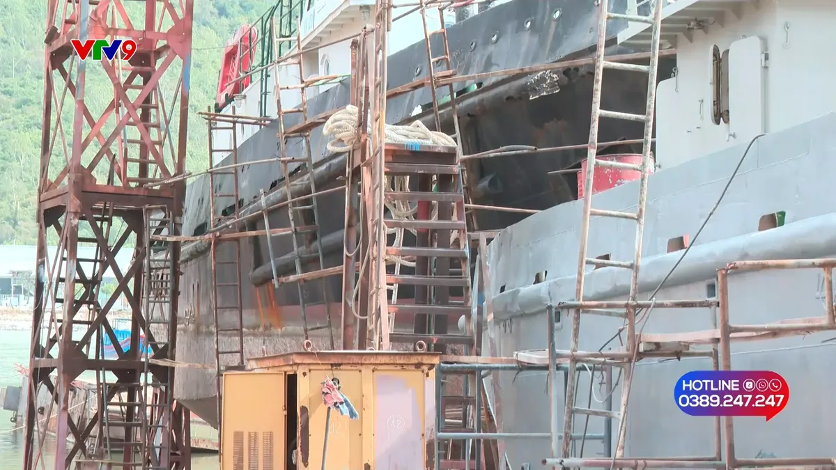 Alo V9: Khó chốt sổ Bảo hiểm xã hội vì doanh nghiệp chờ thủ tục phá sản Alo V9: Khó chốt sổ Bảo hiểm xã hội vì doanh nghiệp chờ thủ tục phá sản