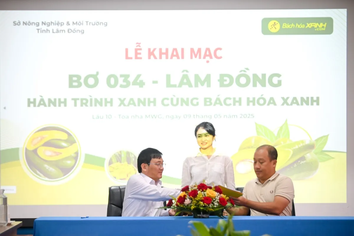 Lãnh đạo tỉnh Lâm Đồng cam kết chất lượng bơ O34 với Bách Hoá Xanh - Ảnh 1.